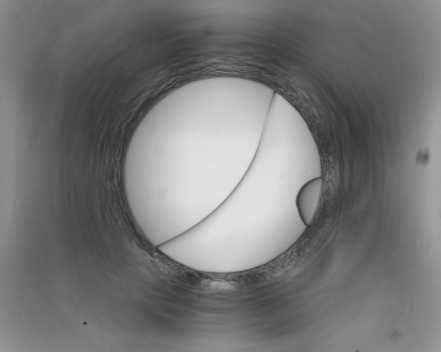 X0000090740649200708172008