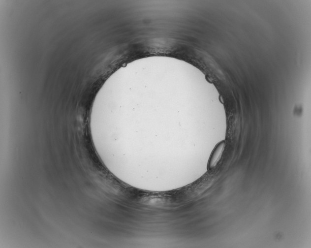 X0000090740655200708172008