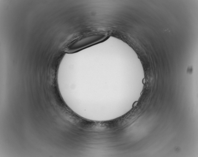 X0000090740656200708172008