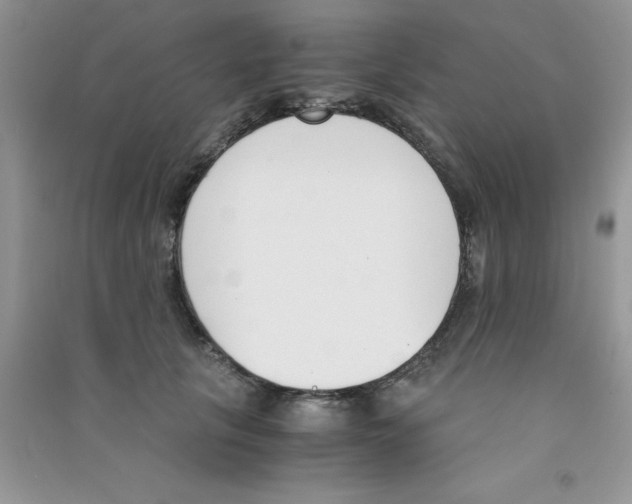 X0000090740657200708172008