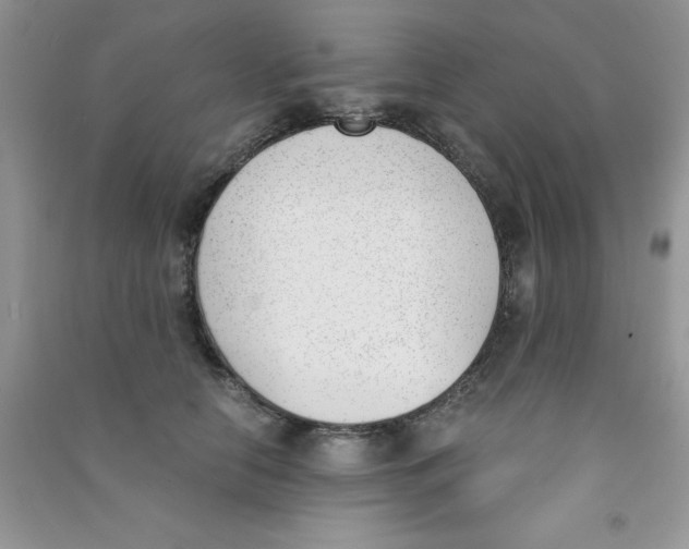 X0000090740658200708172008