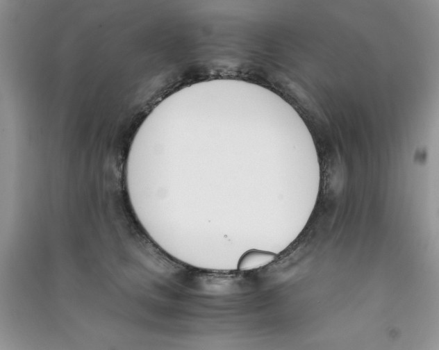 X0000090740661200708172008