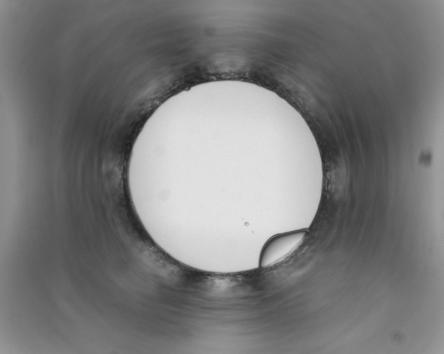 X0000090740662200708172008