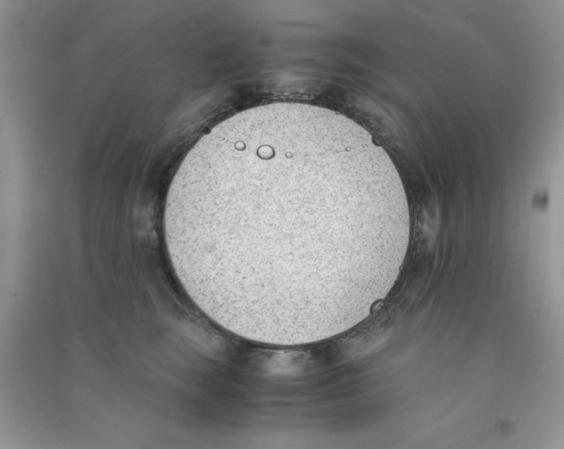 X0000090740663200708172008