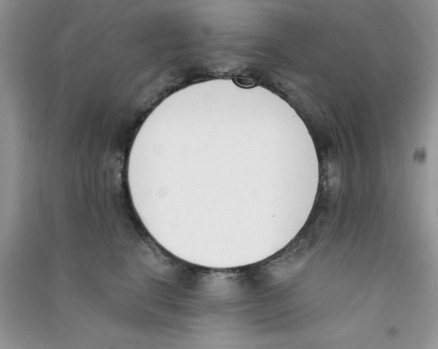 X0000090740664200708172008