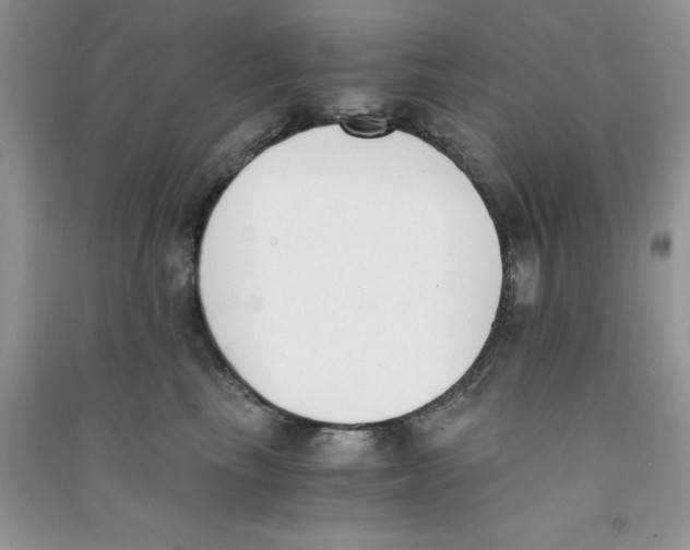 X0000090740665200708172008