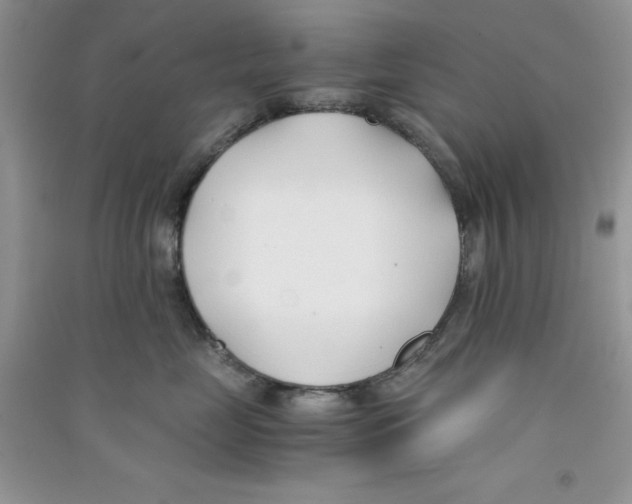 X0000090740669200708172008