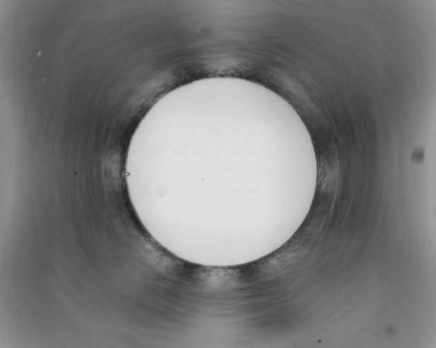 X0000090740670200708172008