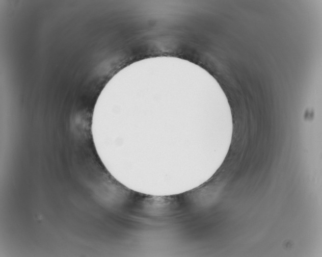 X0000090740672200708172008