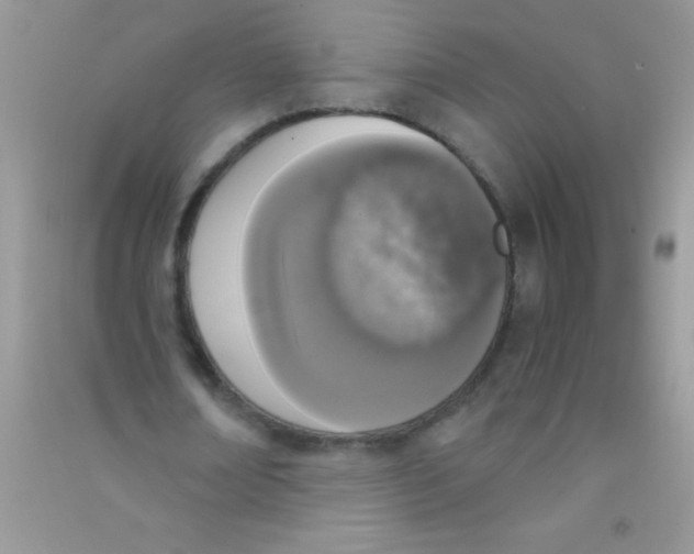 X0000090740674200708172008