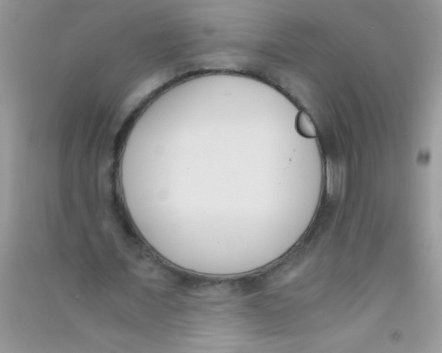 X0000090740675200708172008