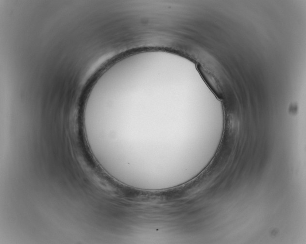 X0000090740676200708172008