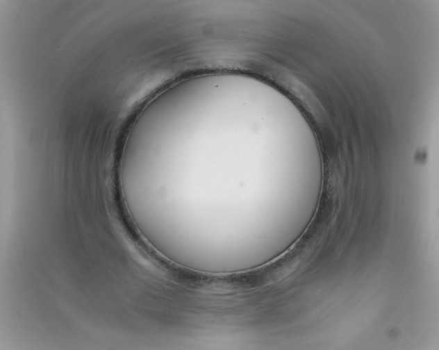 X0000090740677200708172008