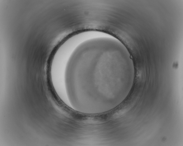 X0000090740678200708172008