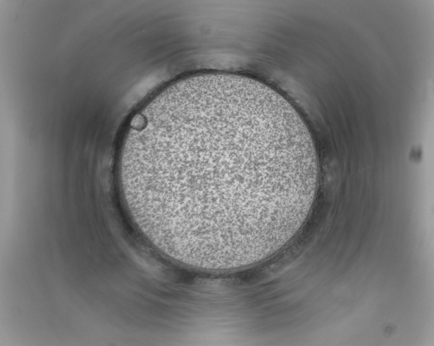 X0000090740679200708172008