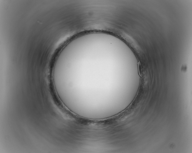 X0000090740680200708172008