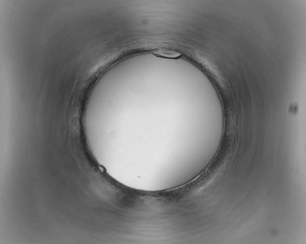 X0000090740681200708172008