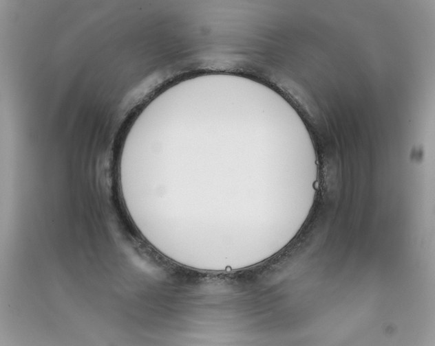 X0000090740682200708172008