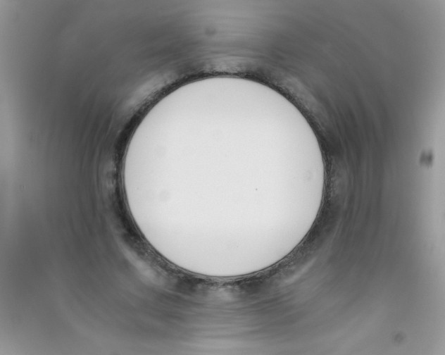 X0000090740683200708172008