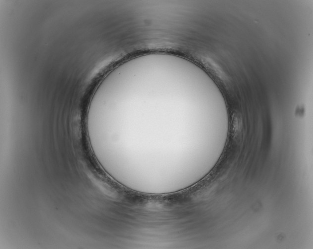 X0000090740684200708172008