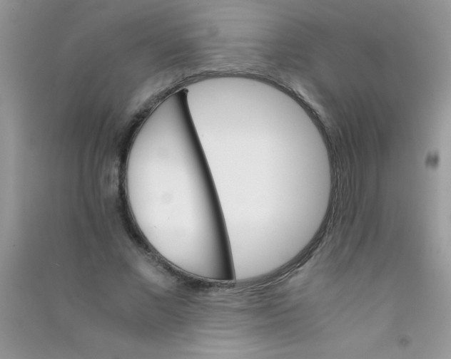 X0000090740685200708172008