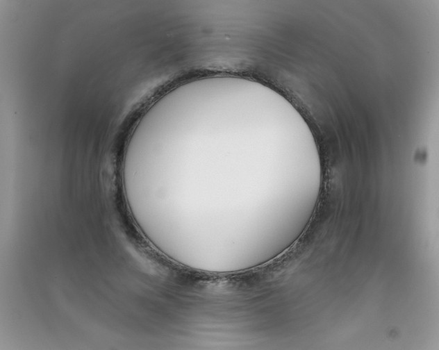 X0000090740688200708172008