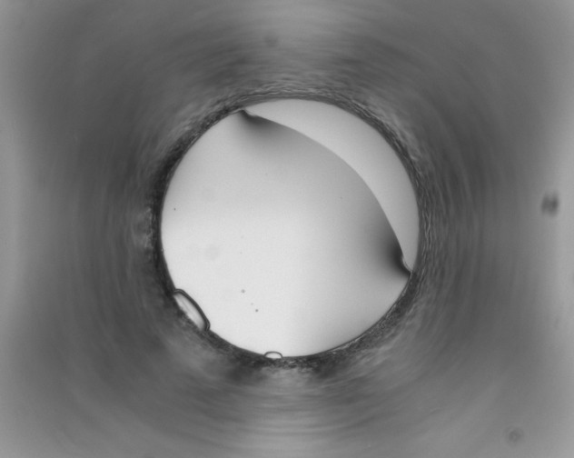 X0000090740689200708172008