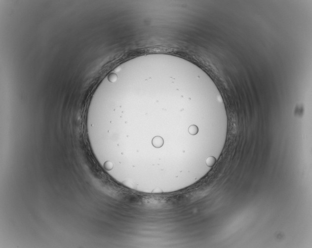 X0000090740690200708172008