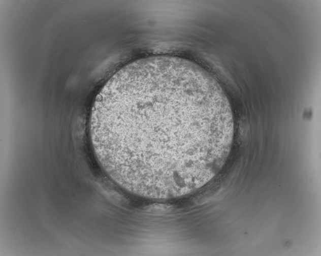 X0000090740691200708172008