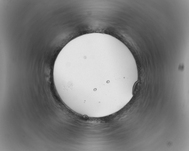 X0000090740693200708172008