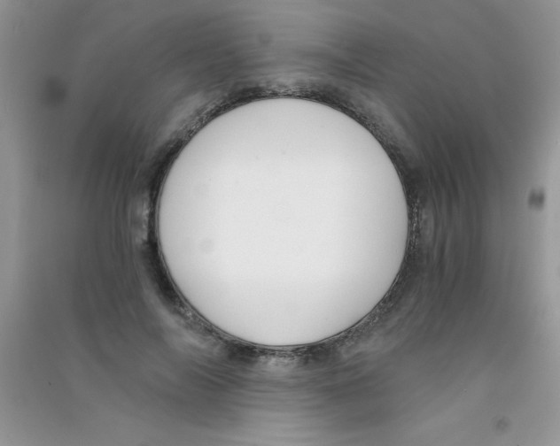 X0000090740694200708172008