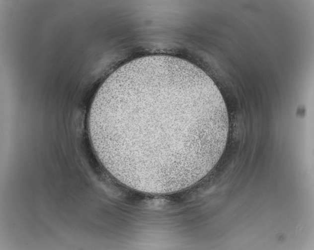 X0000090740695200708172008