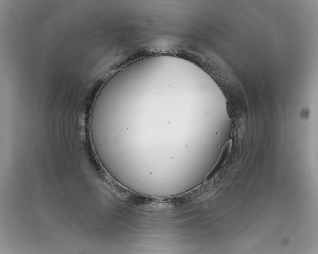 X0000090740696200708172008