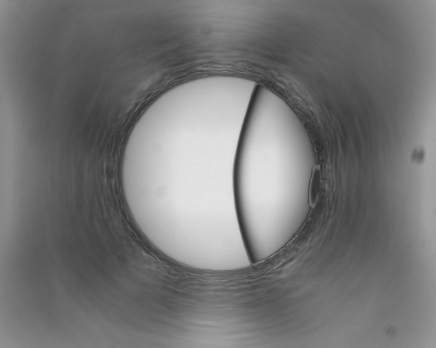 X0000090740697200708172008