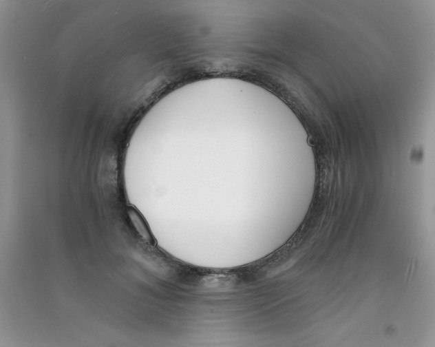 X0000090740700200708172008