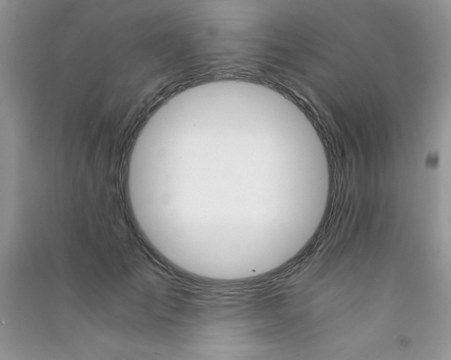 X0000090740701200708172008