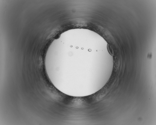 X0000090740704200708172007