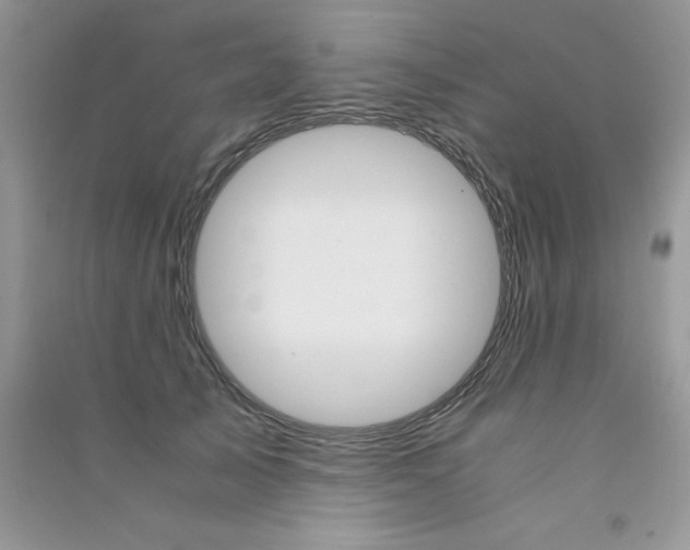 X0000090740705200708172007