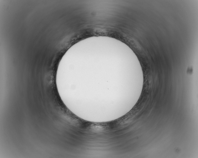 X0000090740706200708172007