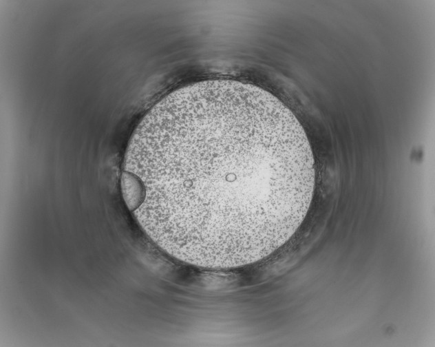 X0000090740707200708172007