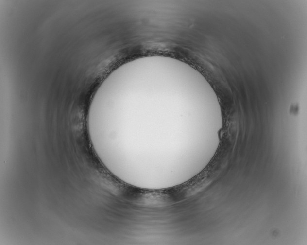 X0000090740708200708172007