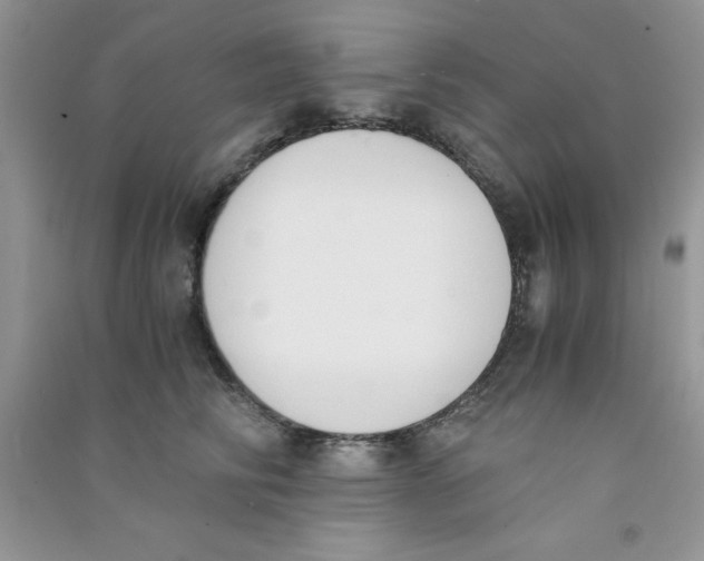 X0000090740710200708172007