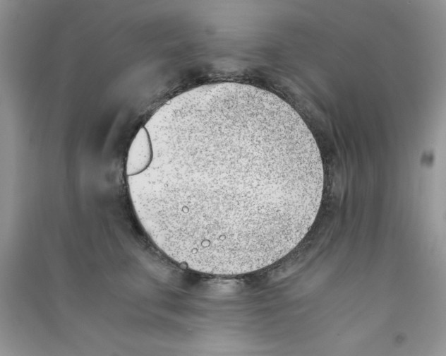 X0000090740711200708172007