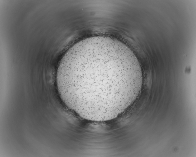 X0000090740712200708172007