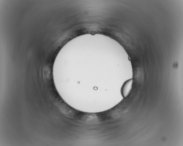 X0000090740715200708172007