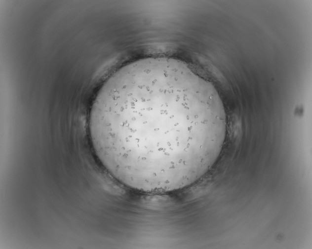 X0000090740716200708172007
