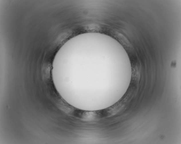 X0000090740717200708172007