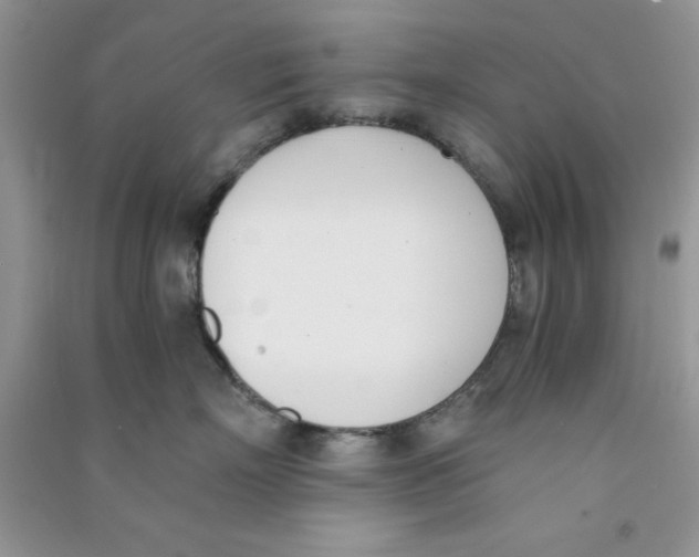 X0000090740718200708172007