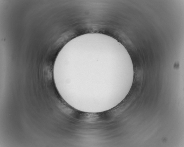 X0000090740719200708172007