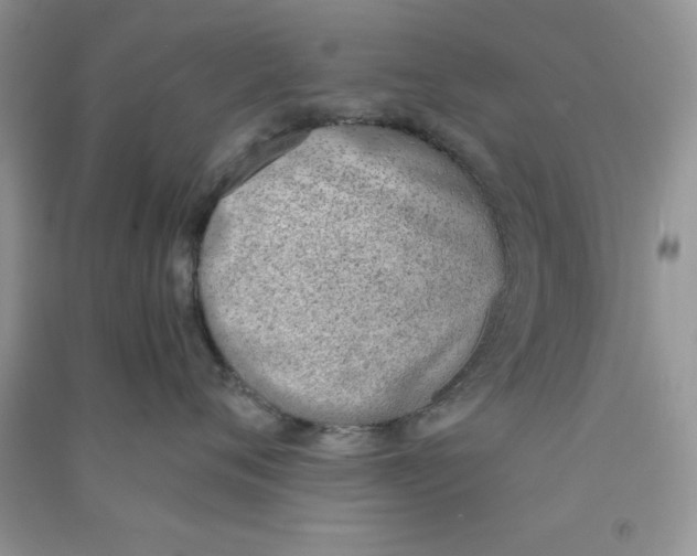 X0000090740720200708172007